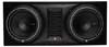 Rockford Fosgate P1-2X10